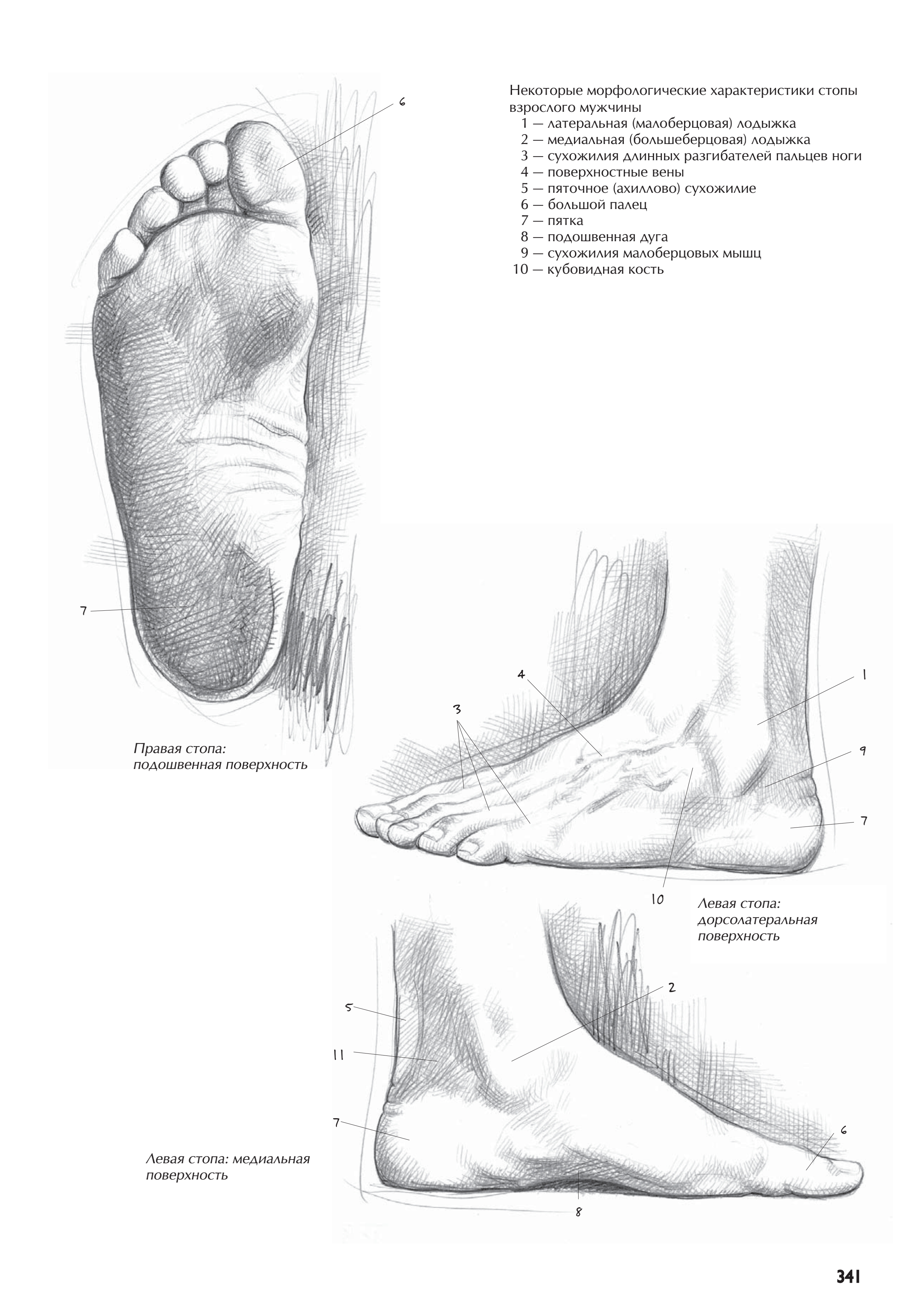 آموزش نقاشی طراحی سیاه قلم شهرری